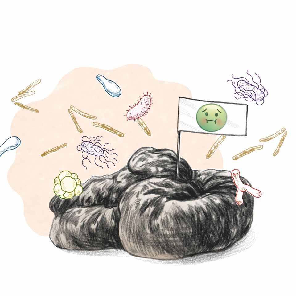 Haufen voll Wissen: Aus den unterschiedlichsten Perspektiven befassen sich Wissenschaftler*innen mit jedem Detail unserer Ausscheidungen