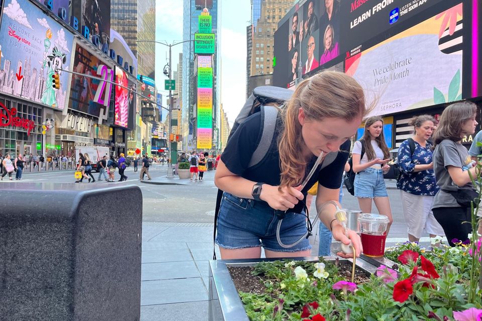 "Project ManhattANT": Samantha Kennett sucht in Times Square nach Ameisen. Die Zweifarbige Wegameise ist in Europa schon lange weit verbreitet Samantha Kennett sucht in Times Square nach Ameisen. Die Zweifarbige Wegameise ist in Europa schon lange weit verbreitet