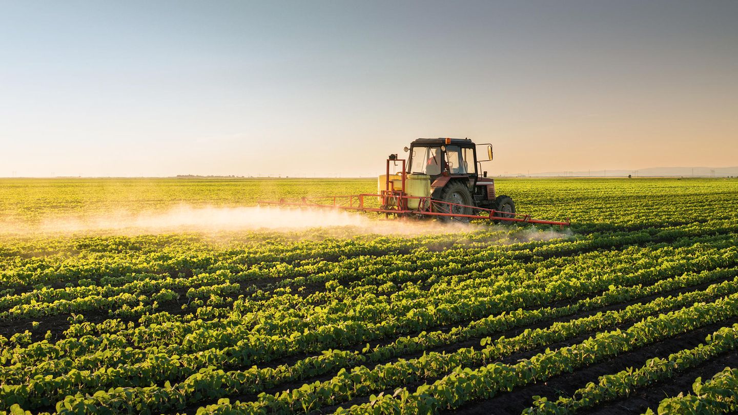 Ein Traktor fährt über ein Feld und sprüht eine Flüssigkeit auf die Pflanzen