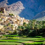 Dorf an einem Berg mit vielen Palmen