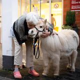 Eine Heimbewohnerin umarmt das Pony vor den Türen des Heims