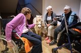 Drei alte Frauen und ein Pony an einer Bank im Altenheim