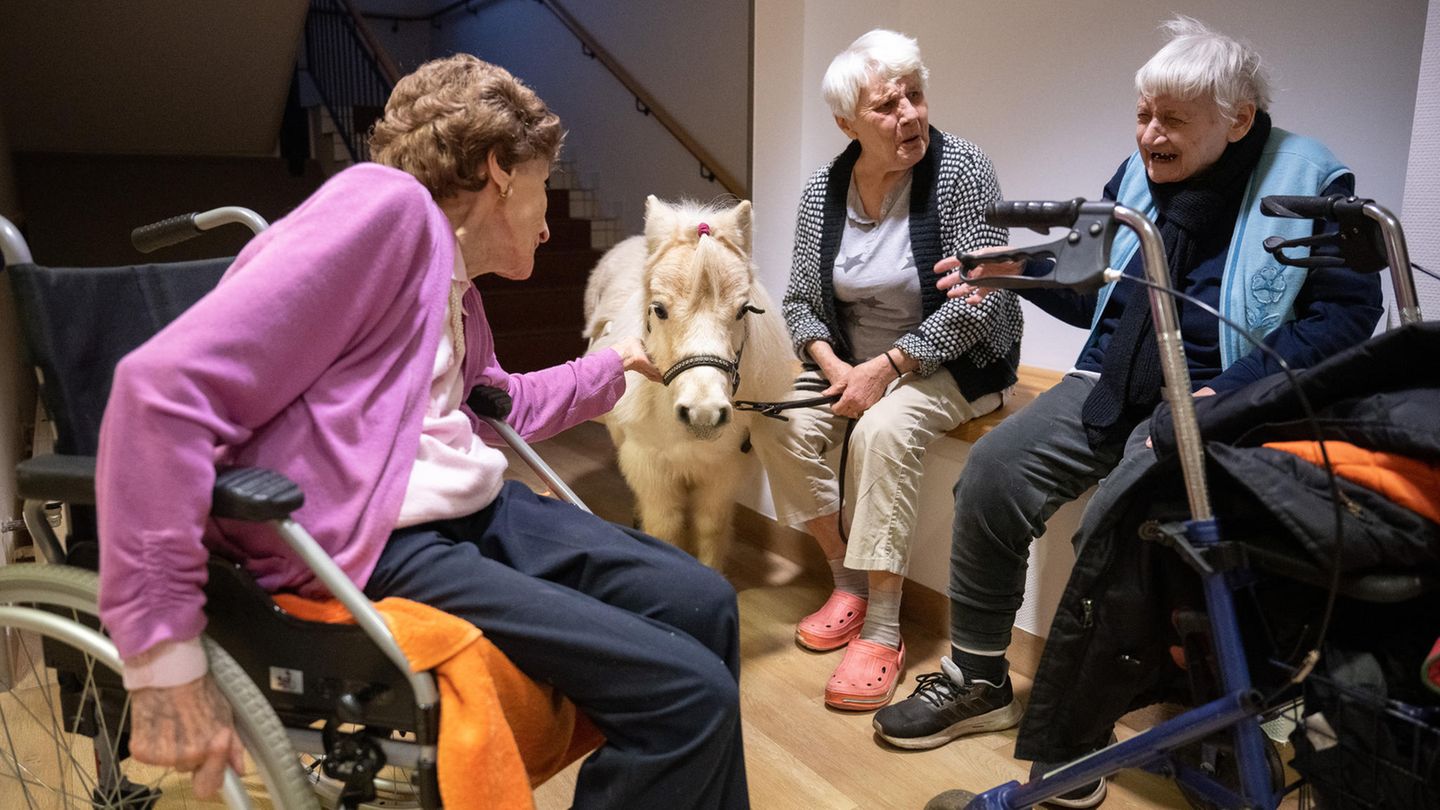 Drei alte Frauen und ein Pony an einer Bank im Altenheim