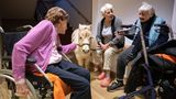 Drei alte Frauen und ein Pony an einer Bank im Altenheim