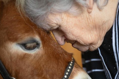 Eine Frau und ein braunes Pony sind Stirn an Stirn