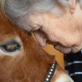 Eine Frau und ein braunes Pony sind Stirn an Stirn