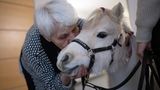 Eine alte Frau küsst ein Pony am Kopf