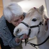 Eine alte Frau küsst ein Pony am Kopf