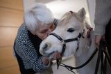 Eine alte Frau küsst ein Pony am Kopf
