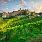 Neive in den Weinbergen, Italien