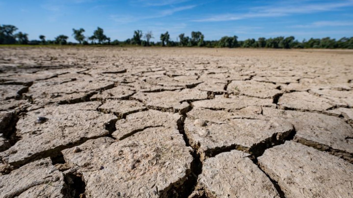 Aufgerissen und ausgetrocknet ist eine Sandbank an der Niedrigwasser führenden Donau. Foto: Armin Weigel/dpa