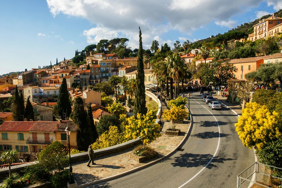 Bormes-les-Mimosas an der Mimosenroute  1.5004