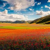 Castelluccio di Norcia, Nationalpark Monti Sibillini