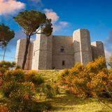 Mit einem mittelalterlichen Highlight wartet der Nationalpark Alta Murgia im Südosten Italiens auf: Das Castel Del Monte mit seinem achteckigen Grundriss thront trotzig auf einer Anhöhe nahe der apulischen Stadt Andria. Erbaut wurde das heutige Unesco-Welterbe ab dem Jahr 1240 von dem Staufenkaiser Friedrich II. – aber anscheinend nie vollendet. Obwohl die Kalklandschaften des Nationalparks über Jahrhunderte hin von Menschen verändert wurden, bewahrt die Alta Murgia noch heute eine Flora und Fauna von großer Bedeutung.
