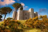 Mit einem mittelalterlichen Highlight wartet der Nationalpark Alta Murgia im Südosten Italiens auf: Das Castel Del Monte mit seinem achteckigen Grundriss thront trotzig auf einer Anhöhe nahe der apulischen Stadt Andria. Erbaut wurde das heutige Unesco-Welterbe ab dem Jahr 1240 von dem Staufenkaiser Friedrich II. – aber anscheinend nie vollendet. Obwohl die Kalklandschaften des Nationalparks über Jahrhunderte hin von Menschen verändert wurden, bewahrt die Alta Murgia noch heute eine Flora und Fauna von großer Bedeutung.