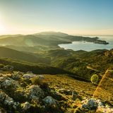 Panoramablick über die von den Etruskern erbauten Burg Volterraio (394m) mit Blick auf die Bucht von Portoferraio, Elba, Toscana, Italien.