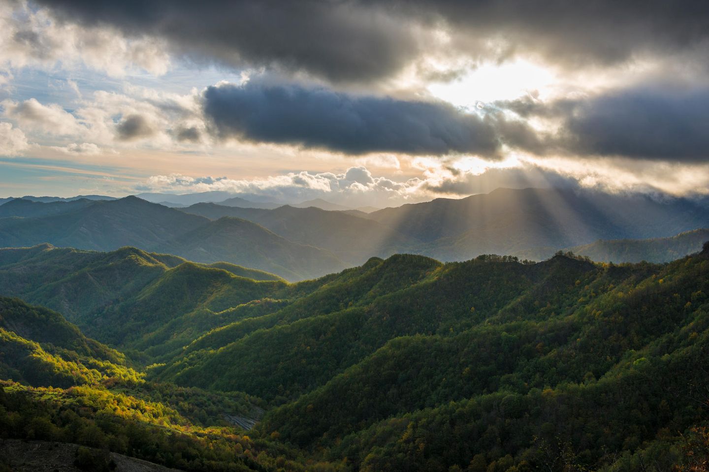 Der Nationalpark gehört zum Gebirgszug des Apennin und liegt auf der Grenze zwischen der Toskana und der Romagna. Der Park bietet sowohl Wanderern als auch Radfahrern und Wassersportlern besondere Erlebnisse: In den uralten Wäldern sind Hirsche und Wölfe zu Hause, der Wasserfall von Acquacheta stürzt sich 70 Meter durch die Felsen herab, und der Ridracoli-See lädt zu Kanutouren ein.