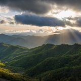 Der Nationalpark gehört zum Gebirgszug des Apennin und liegt auf der Grenze zwischen der Toskana und der Romagna. Der Park bietet sowohl Wanderern als auch Radfahrern und Wassersportlern besondere Erlebnisse: In den uralten Wäldern sind Hirsche und Wölfe zu Hause, der Wasserfall von Acquacheta stürzt sich 70 Meter durch die Felsen herab, und der Ridracoli-See lädt zu Kanutouren ein.