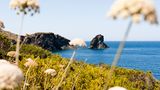 Blick auf die schwarzen Felsen von Pantelleria