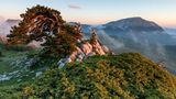 Nationalpark Pollino