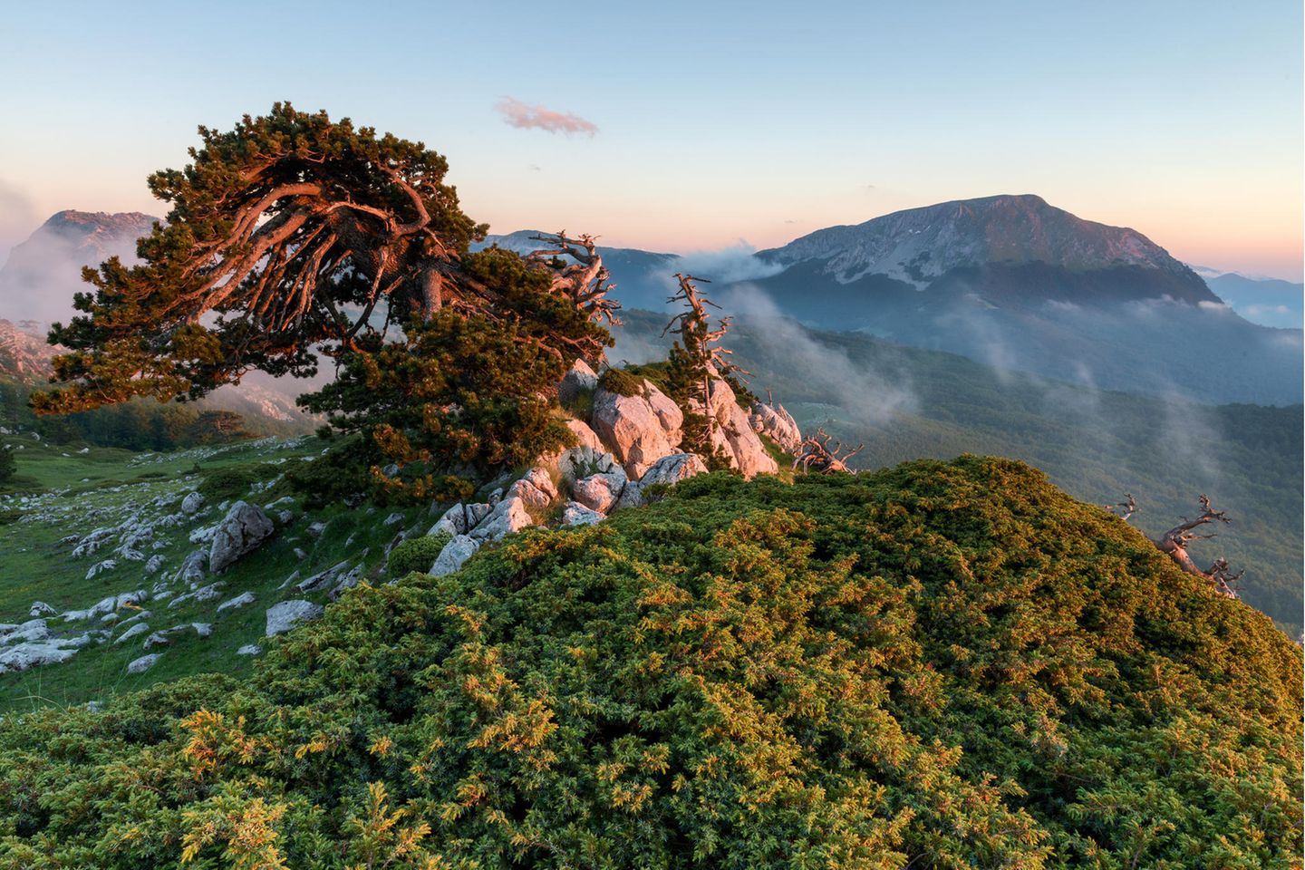 Nationalpark Pollino