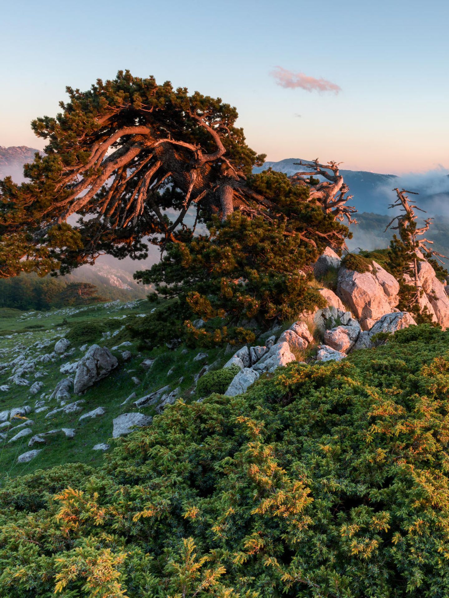 Nationalpark Pollino