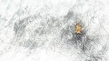 Animals-Finalist-Rob-Blanken-Love-is-in-the-Air-CUPOTY  Name: Rob Blanken  Picture title: Love is in the Air  Category: Animals (Finalist)  Nationality: Dutch  Occupation:      Rob:   ‘In the northern part of the Netherlands, in early spring, Common toads (Bufo bufo) gather to mate. I know a small lake where numerous toads come together. This lake has an almost white sandy bottom so you can observe the toads and their egg strings clearly. Most of the time the mating is a quite chaotic process but at this moment I was able to make an image of the egg strings and only two toads. There was some wind, just enough to create an interesting effect.’      Technical information:  Nikon Z9 +  Tamron 24-70mm f/2.8 (42 mm)  1/160, f/10, ISO640  Accessories: Flash, polarising filter  Post processing: Basic adjustments in Lightroom      Website: www.robblankenphotography.com  Instagram: rob_blanken  Facebook: Rob Blanken  Flickr: Rob Blanken