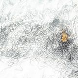 Animals-Finalist-Rob-Blanken-Love-is-in-the-Air-CUPOTY  Name: Rob Blanken  Picture title: Love is in the Air  Category: Animals (Finalist)  Nationality: Dutch  Occupation:      Rob:   ‘In the northern part of the Netherlands, in early spring, Common toads (Bufo bufo) gather to mate. I know a small lake where numerous toads come together. This lake has an almost white sandy bottom so you can observe the toads and their egg strings clearly. Most of the time the mating is a quite chaotic process but at this moment I was able to make an image of the egg strings and only two toads. There was some wind, just enough to create an interesting effect.’      Technical information:  Nikon Z9 +  Tamron 24-70mm f/2.8 (42 mm)  1/160, f/10, ISO640  Accessories: Flash, polarising filter  Post processing: Basic adjustments in Lightroom      Website: www.robblankenphotography.com  Instagram: rob_blanken  Facebook: Rob Blanken  Flickr: Rob Blanken