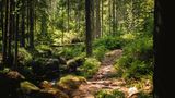 Markgrafenrunde im Fichtelgebirge
