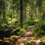 Markgrafenrunde im Fichtelgebirge