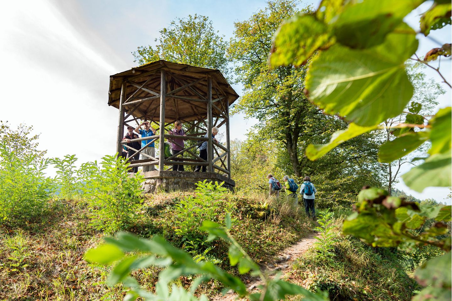 "AugenBlick-Runde Schiltach Schlossberg" im Schwarzwald  Naturpark-AugenBlick-Runde in Schiltach