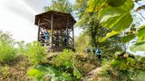 Naturpark-AugenBlick-Runde in Schiltach