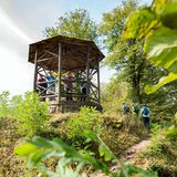Naturpark-AugenBlick-Runde in Schiltach