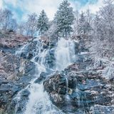 Wasserfall mit schneebedeckten Bäumen