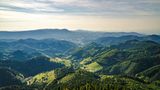 Aussicht auf den Schwarzwald