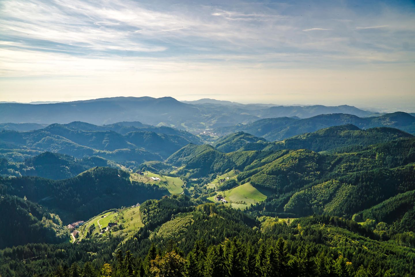 Aussicht auf den Schwarzwald