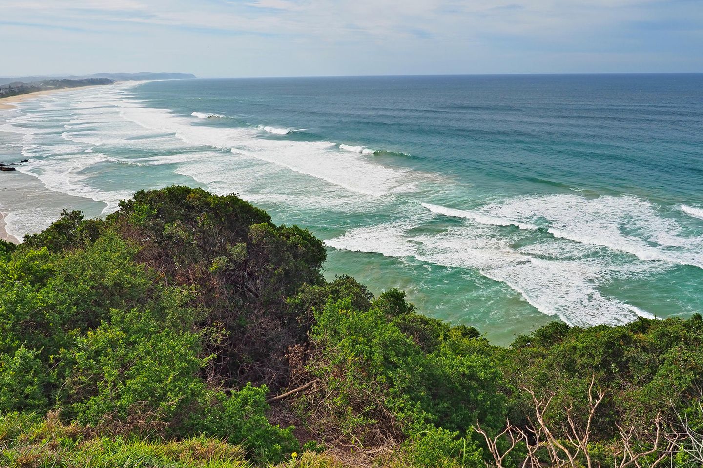 Blick auf den Ozean mit Pflanzen im unteren Vordergrund