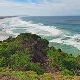 Blick auf den Ozean mit Pflanzen im unteren Vordergrund