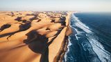 Im Norden Namibias trifft die Namib-Wüste auf den Atlantischen Ozean. Ein lebensfeindlicher und doch überaus faszinierender Ort, der trotz seiner Extreme eine vielfältige Tierwelt beherbergt