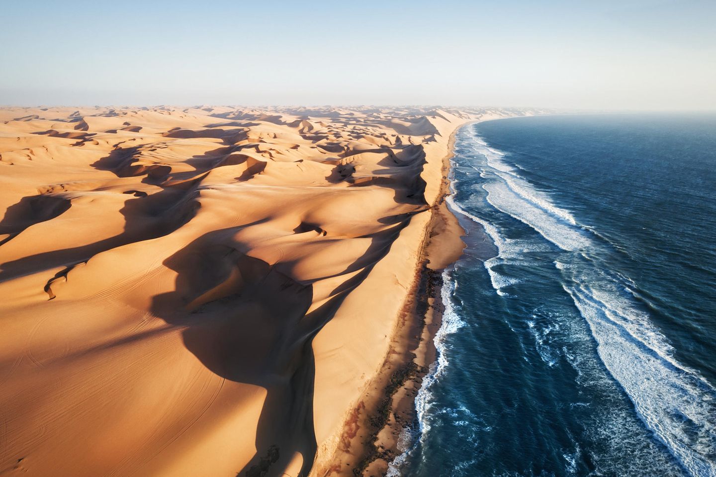 Im Norden Namibias trifft die Namib-Wüste auf den Atlantischen Ozean. Ein lebensfeindlicher und doch überaus faszinierender Ort, der trotz seiner Extreme eine vielfältige Tierwelt beherbergt