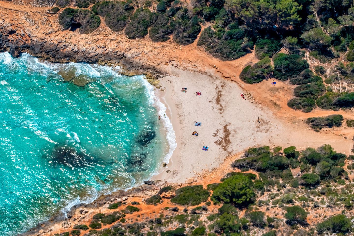 Für Wanderlustige: Cala Varques Malerisch schmiegt sich der gerade einmal 80 Meter breite Sandstrand in die Bucht von Cala Varques. Hotels, Cafés oder Geschäfte sucht man hier vergebens. Stattdessen umgibt dichter Wald den feinen Sandstrand bei Porto Cristo, den man nur zu Fuß erreichen kann. Am besten parkt man auf dem Parkplatz an der Hauptstraße Ma-4014 und nimmt von dort den letzten Teil des Weges auf sich. Familien schätzen den flach abfallenden Sand in der Bucht, Kletterer besuchen sie wegen der zerklüfteten Felswände und FKK-Freunde finden in einer weiteren kleinen Bucht ihren Platz, die ein Küstenwanderweg mit der Cala Varques verbindet