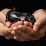 3rd Place - Daniela Schmid - Germany Canon EOS 90d F/6.3 ISO-250 1/250 Sek.