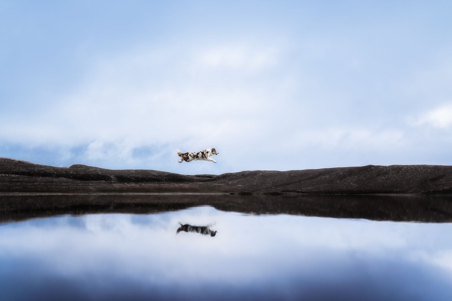 Dritter Platz der Kategorie "Action" 3rd Place - Julia Haßelkuß - Germany ISO 80 f/1,4 1/2500s Sony Alpha 7 MIV Sigma Art 35mm I took this picture during our vacation in Norway. It was very foggy that day, so I wanted to create a friendly and sunny look.