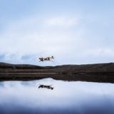 3rd Place - Julia Haßelkuß - Germany  ISO 80 f/1,4 1/2500s Sony Alpha 7 MIV Sigma Art 35mm I took this picture during our vacation in Norway. It was very foggy that day, so I wanted to create a friendly and sunny look.