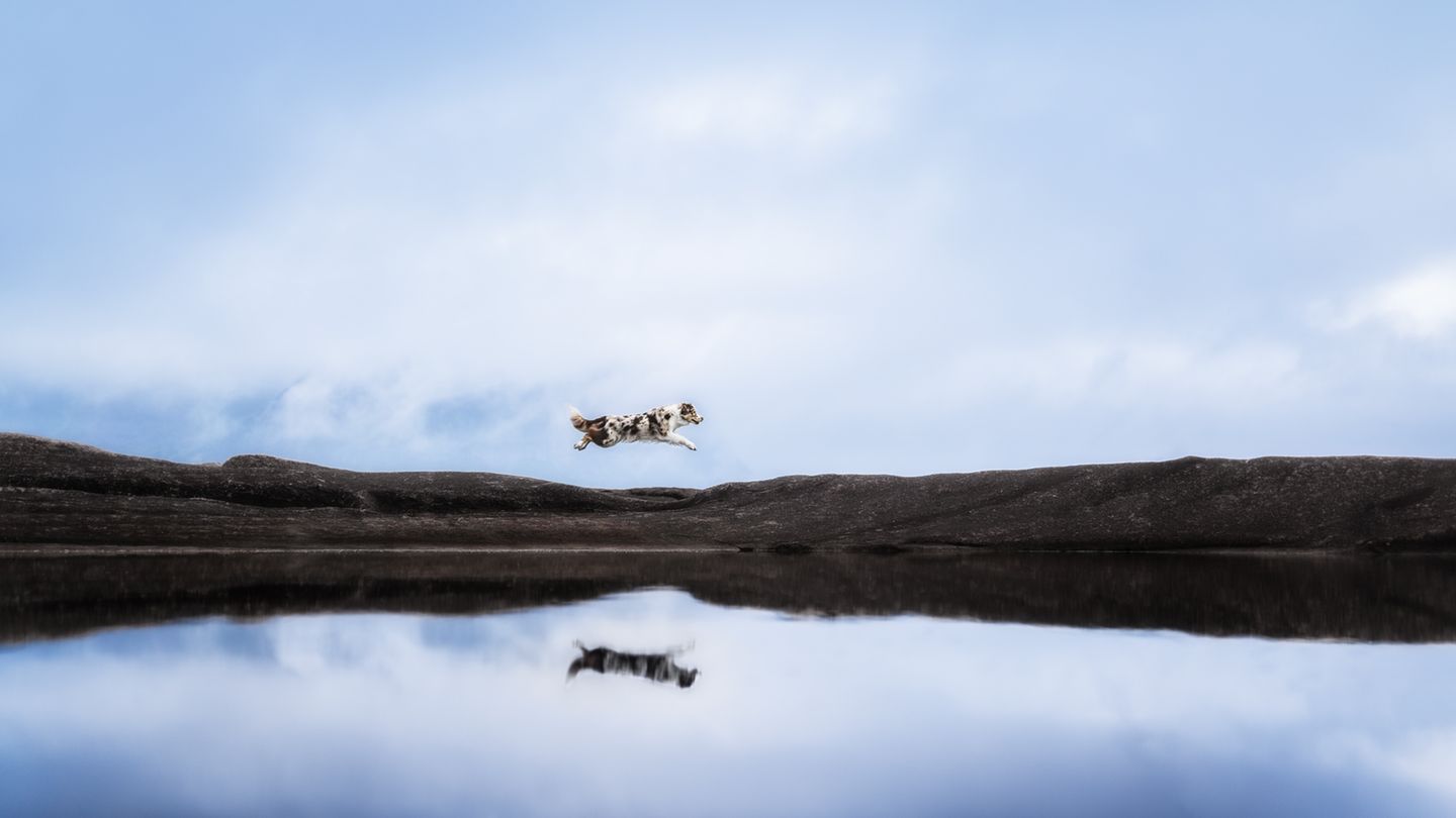 3rd Place - Julia Haßelkuß - Germany  ISO 80 f/1,4 1/2500s Sony Alpha 7 MIV Sigma Art 35mm I took this picture during our vacation in Norway. It was very foggy that day, so I wanted to create a friendly and sunny look.
