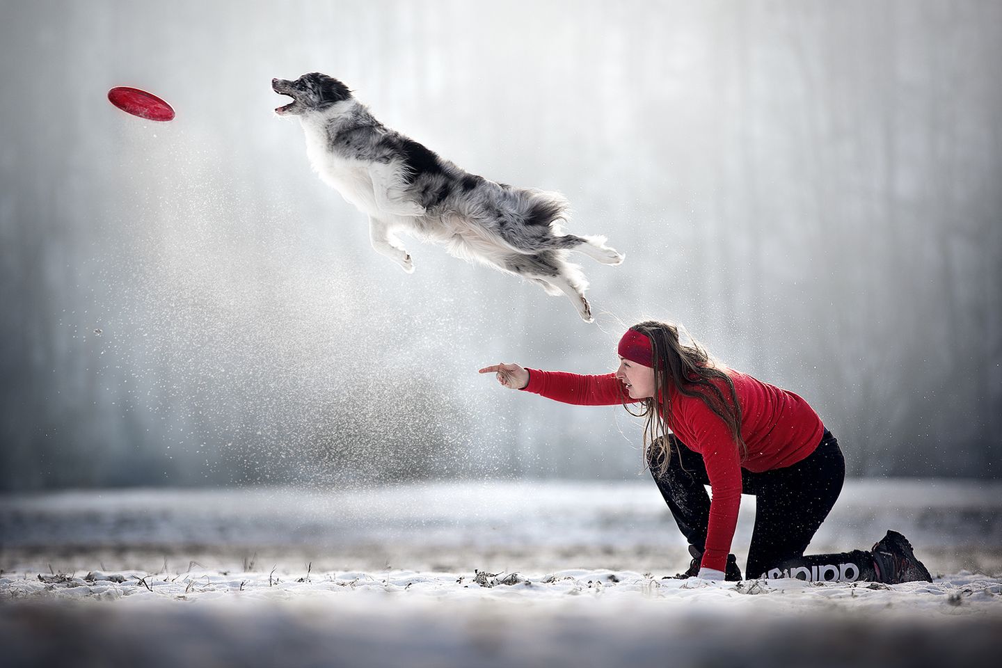 Zweiter Platz der Kategorie "Action" 2nd Place - Kjara Kocbek - Slovenia Canon 5D mark III, Canon 70-200mm 2.8L IS II f/3.5, 1/1250, ISO 200, 200mm Took at sunrise in Slovenia.