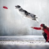 2nd Place - Kjara Kocbek - Slovenia  Canon 5D mark III, Canon 70-200mm 2.8L IS II f/3.5, 1/1250, ISO 200, 200mm Took at sunrise in Slovenia.