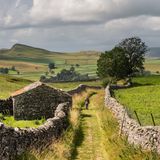 Schon seit vielen Jahrhunderten teilen Steinwälle die Landschaft Yorkshires in kleine Parzellen, wie etwa in den dünn besiedelten Yorkshire Dales. Der Nationalpark Yorkshire Dales ist weniger bekannt, aber auch weitläufiger als etwa der Lake District. So wandeln vergleichsweise wenig Menschen durch die Landschaft. Kühe und Schafe weiden auf den grünen Wiesen in den Tälern, in den rauen, höheren Lagen wachsen Farne und Heidekraut. In den Yorkshire Dales findet sich auch der höchste Wasserfall Englands: Der Cautley Spout am nordwestlichen Ende des Nationalparks fällt über vier Stufen um fast 200 Meter Höhe ab