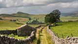 Schon seit vielen Jahrhunderten teilen Steinwälle die Landschaft Yorkshires in kleine Parzellen, wie etwa in den dünn besiedelten Yorkshire Dales. Der Nationalpark Yorkshire Dales ist weniger bekannt, aber auch weitläufiger als etwa der Lake District. So wandeln vergleichsweise wenig Menschen durch die Landschaft. Kühe und Schafe weiden auf den grünen Wiesen in den Tälern, in den rauen, höheren Lagen wachsen Farne und Heidekraut. In den Yorkshire Dales findet sich auch der höchste Wasserfall Englands: Der Cautley Spout am nordwestlichen Ende des Nationalparks fällt über vier Stufen um fast 200 Meter Höhe ab