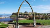 Im Nordosten grenzt Yorkshire an die Nordsee, Städte wie Scarborough und Bridlington atmen Meeresluft. Besonders sticht Whitby hervor: Bram Stokers Buch Dracula zufolge kam der rumänische Vampir hier auf einem menschenleeren Schiff in England an. Eine Geschichte, die heute noch tausende Goths und Fans nach Whitby zieht, etwa zur Kirchenruine auf dem Hügel neben der Stadt. Von hier bietet sich auch ein herrlicher Ausblick auf die See und über die Flussmündung des River Esk. Fischerei prägt die Stadt bis heute, und so gibt es hier einige der besten Fish-and-Chips-Buden Großbritanniens